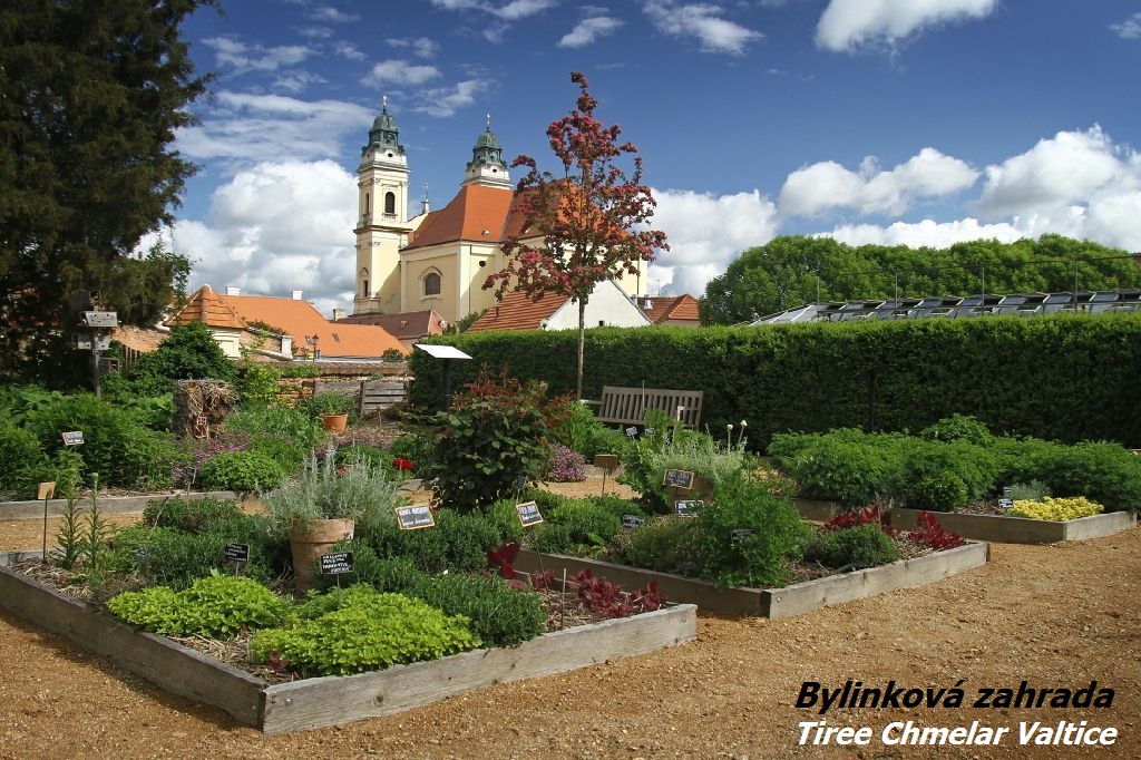 Bylinková zahrada Valtice u Lednice - fotografie, adresa, otevírací doba, informace (Tiree Chmelar)