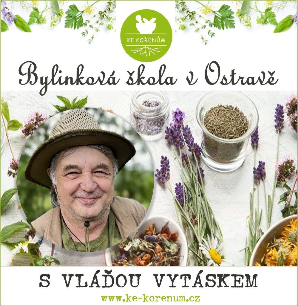 Bylinkova skola Vlada Vytasek ke korenum Ostrava 2024