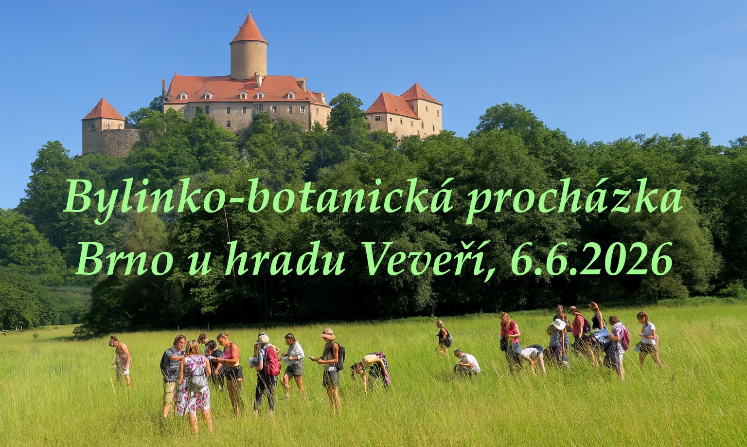 Bylinko-botanická procházka Brno u hradu Veveří, 6.6.2026 (sobota)