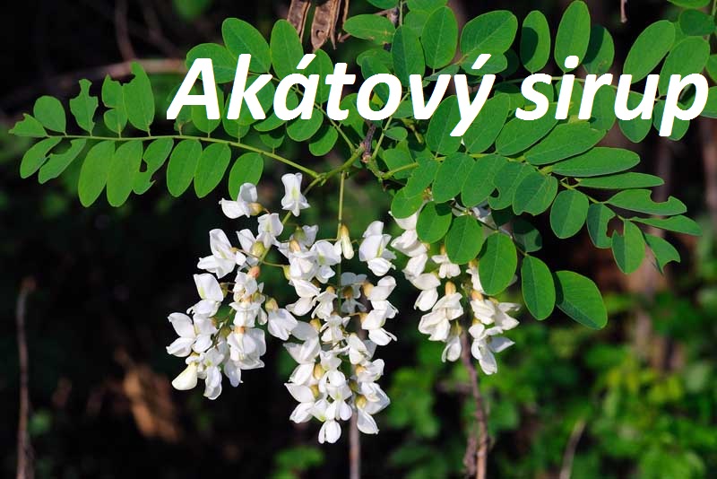 Akátový sirup, sirup z akátu – recept, postup, návod, příprava, suroviny, ingredience