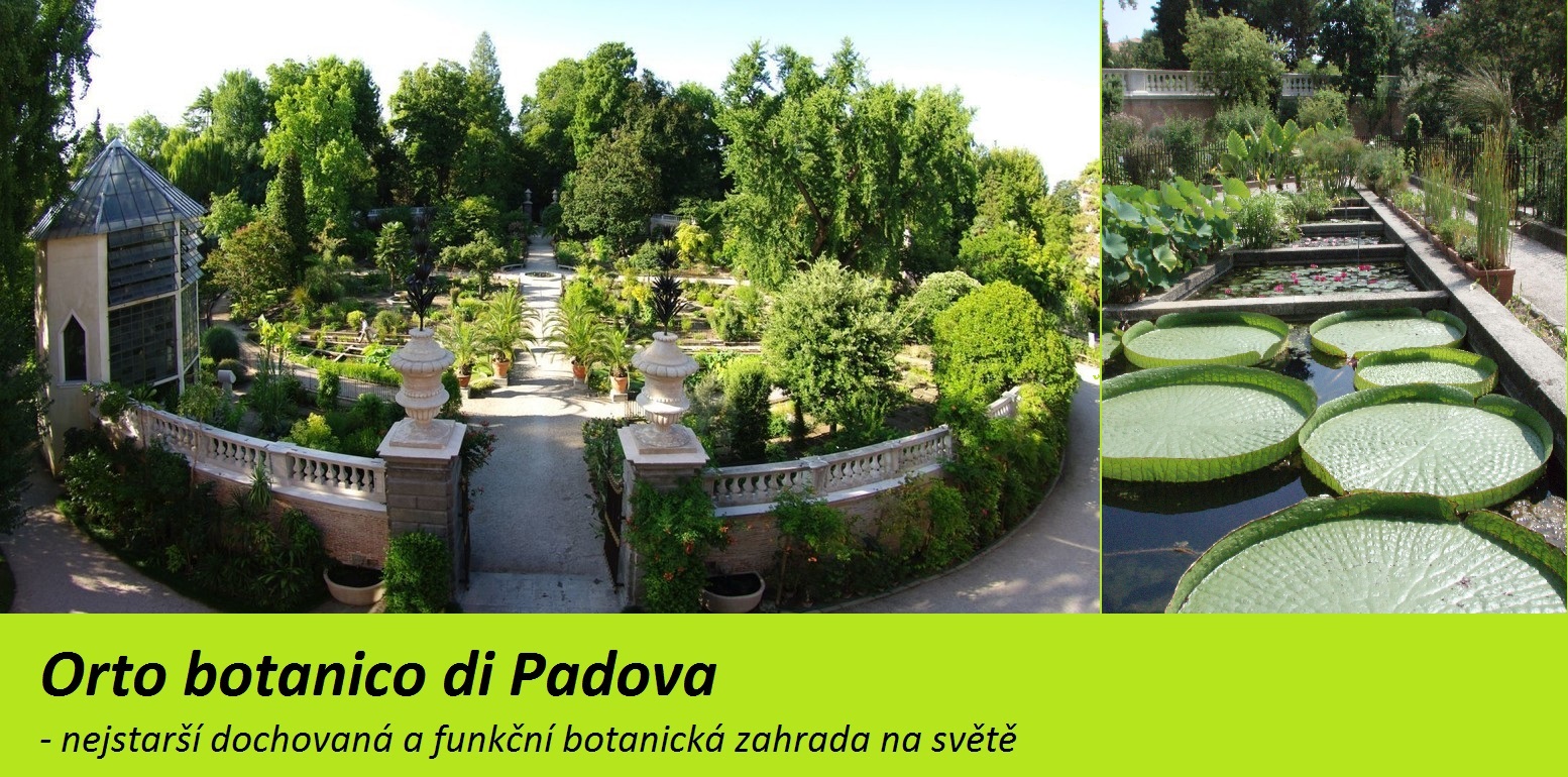 Botanická zahrada Padova, Itálie - nejstarší botanická zahrada na světě