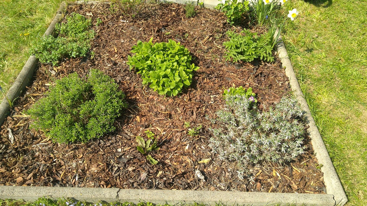 Bylinkářské jaro 2018 - video