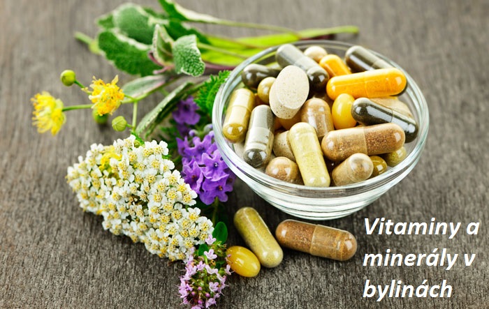 Byliny, bylinky - vitamíny a minerály obsažené v rostlinách