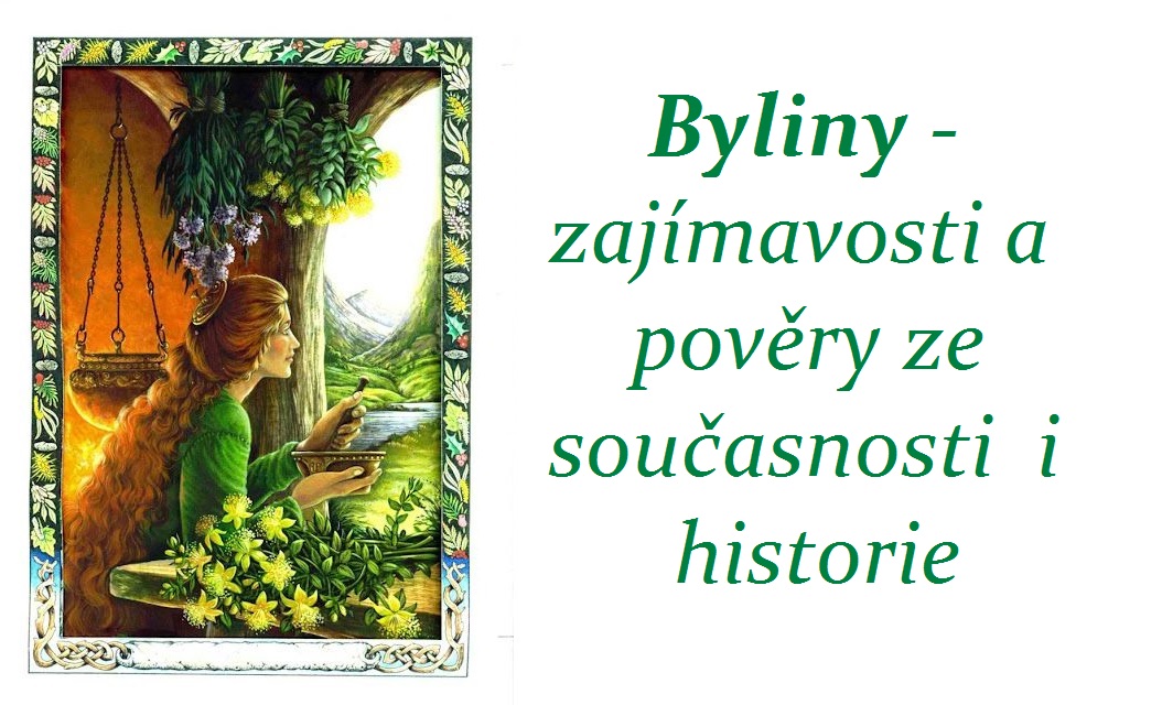 Byliny, bylinky - zajímavosti a pověry ze současnosti i historie