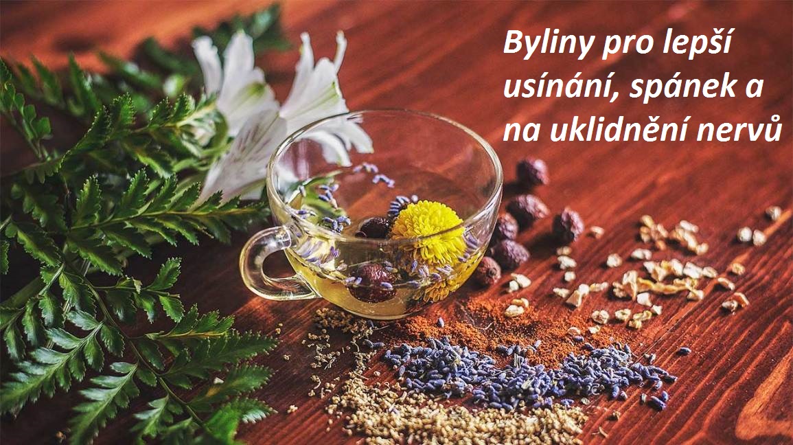 Byliny pro lepší usínání, spánek a na uklidnění nervů