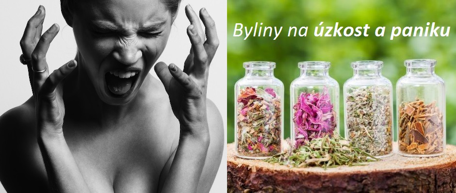 Byliny na úzkost a paniku (panické ataky) - heřmánek, meduňka, sluncovka, brutnák, vrbena, proskurník
