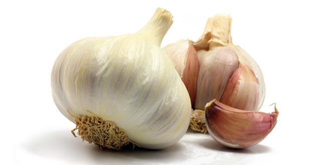 Česnek s medem - recept, postup, návod, příprava, suroviny, účinky, využití