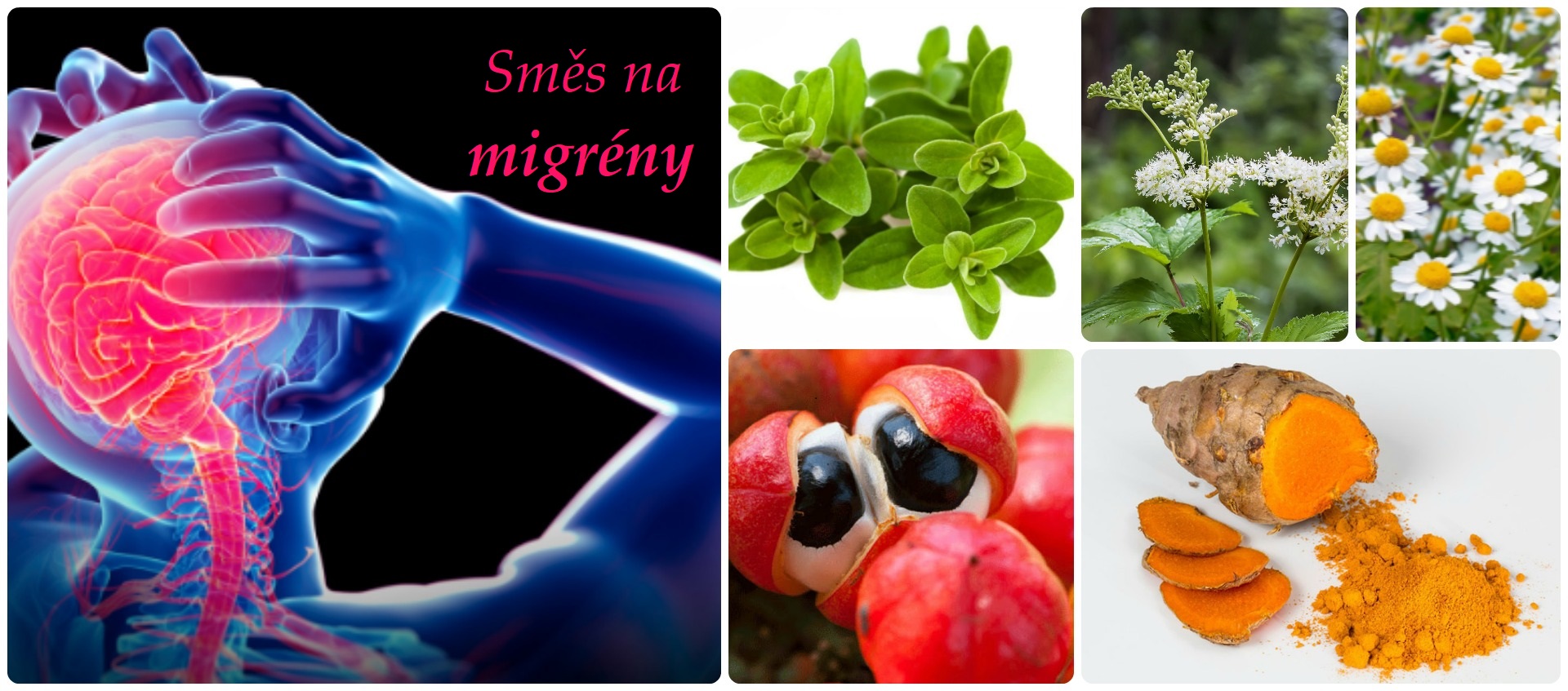 Fungující bylinná směs na migrény