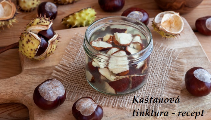 Kaštanová tinktura, tinktura z kaštanů (plodů jírovce maďalu) - recept, postup, návod, suroviny, využití, účinky