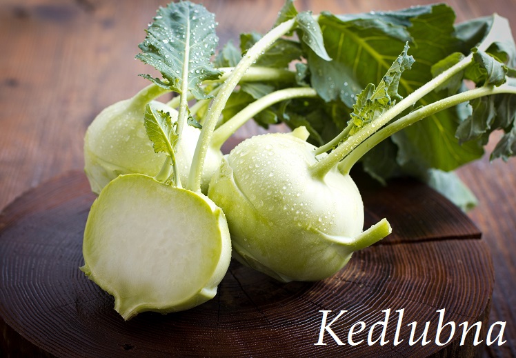 Kedlubna, kedluben - účinky na zdraví, co léčí, použití, užívání, využití, pěstování, škůdci a nemoci kedlubnů