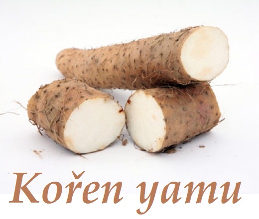 Kořen yamu a klimakterium, přechod u ženy