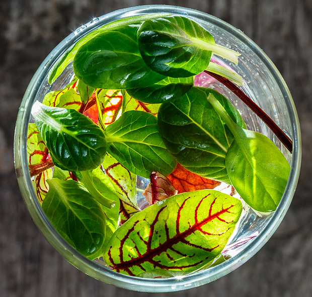 Mangoldový špenát, špenát z mangoldu - recept, postup, návod, příprava, suroviny, ingredience