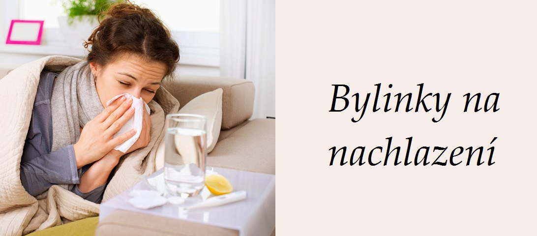 Nachlazení - byliny, bylinky, babské rady, čaje, kloktadla, koupele, tinktury, prevence