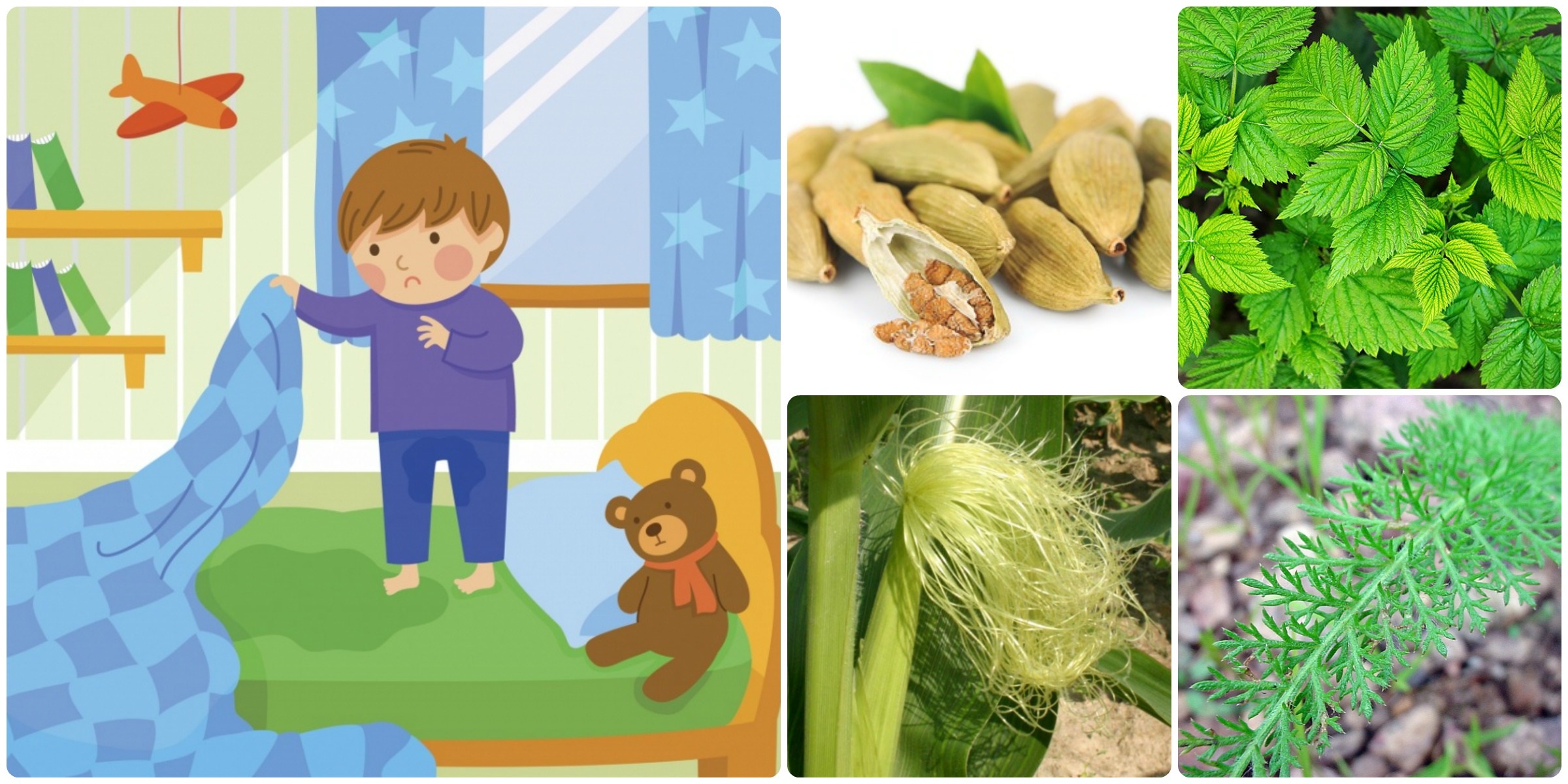 Noční pomočování dětí - bylinná směs (kardamom, kukuřice, maliník, řebříček)