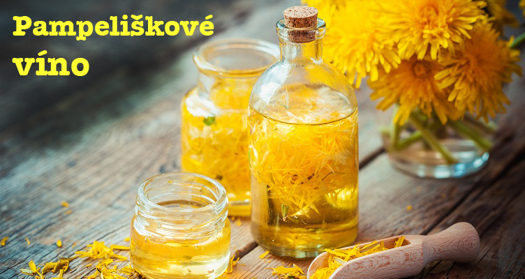 Pampeliškové víno, pampeliškový aperitiv - recept, postup, návod, příprava, suroviny