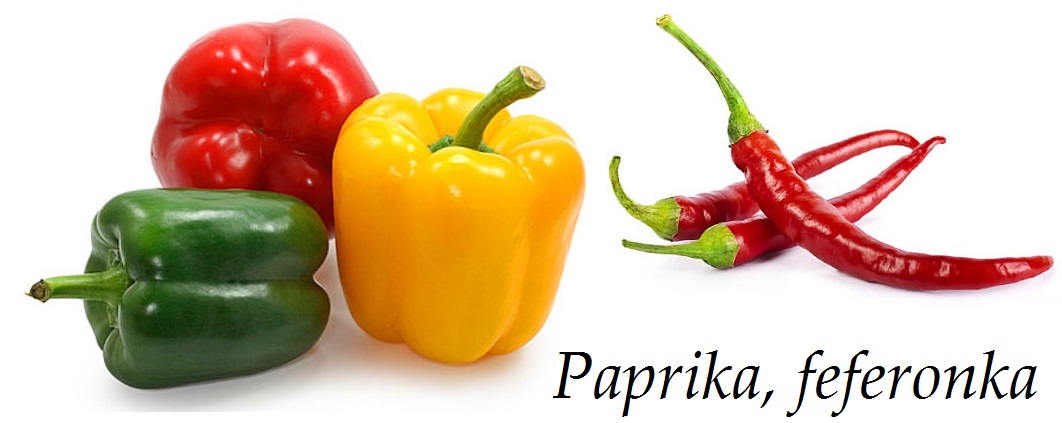 Paprika, feferonka, feferony - účinky na zdraví, co léčí, použití, užívání, využití, pěstování, škůdci a nemoci paprik