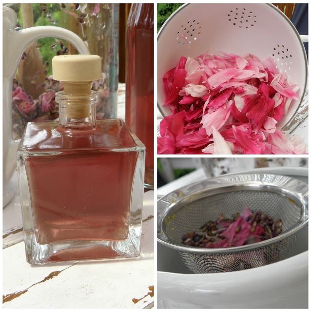 Pivoňkové tonikum na omlazení pleti obličeje - recept, postup, návod, příprava, suroviny, využití