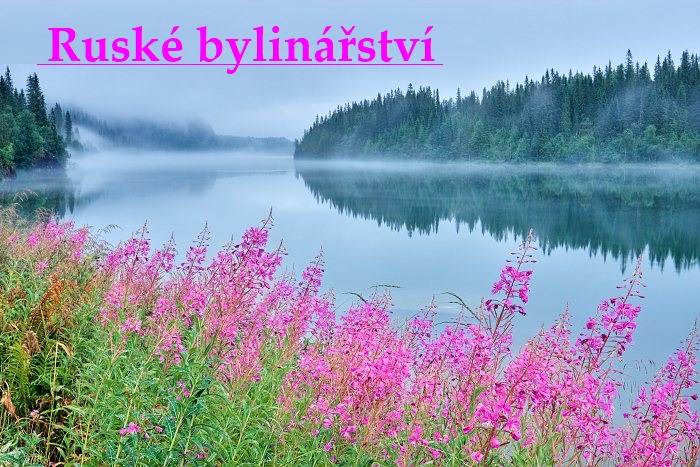 Recepty ruských bylinářů aneb léčba nemocí na dálném východu