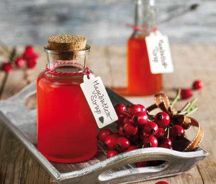 Šípkový sirup - recept, postup, návod, příprava, suroviny, ingredience