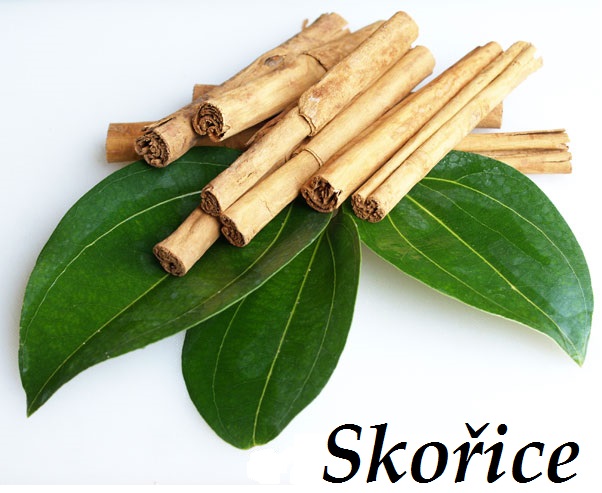 Skořice, skořicovník - účinky na zdraví, co léčí, použití, užívání, využití