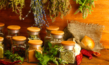 Skladování, uskladnění bylin, bylinek - správný postup bez hmyzu a plísně