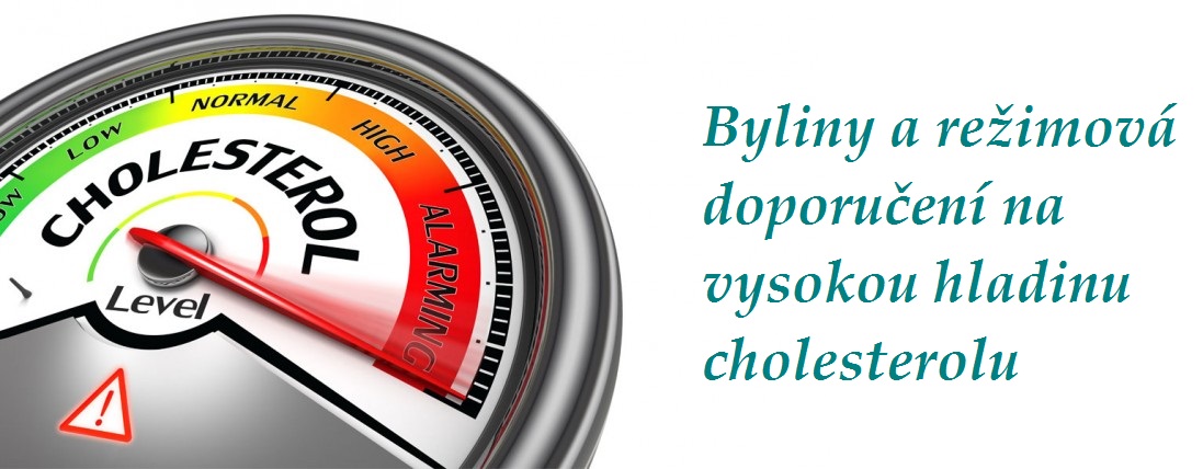 Vysoký cholesterol - byliny, bylinky, babské rady, tinktury, režimová opatření a doporučení