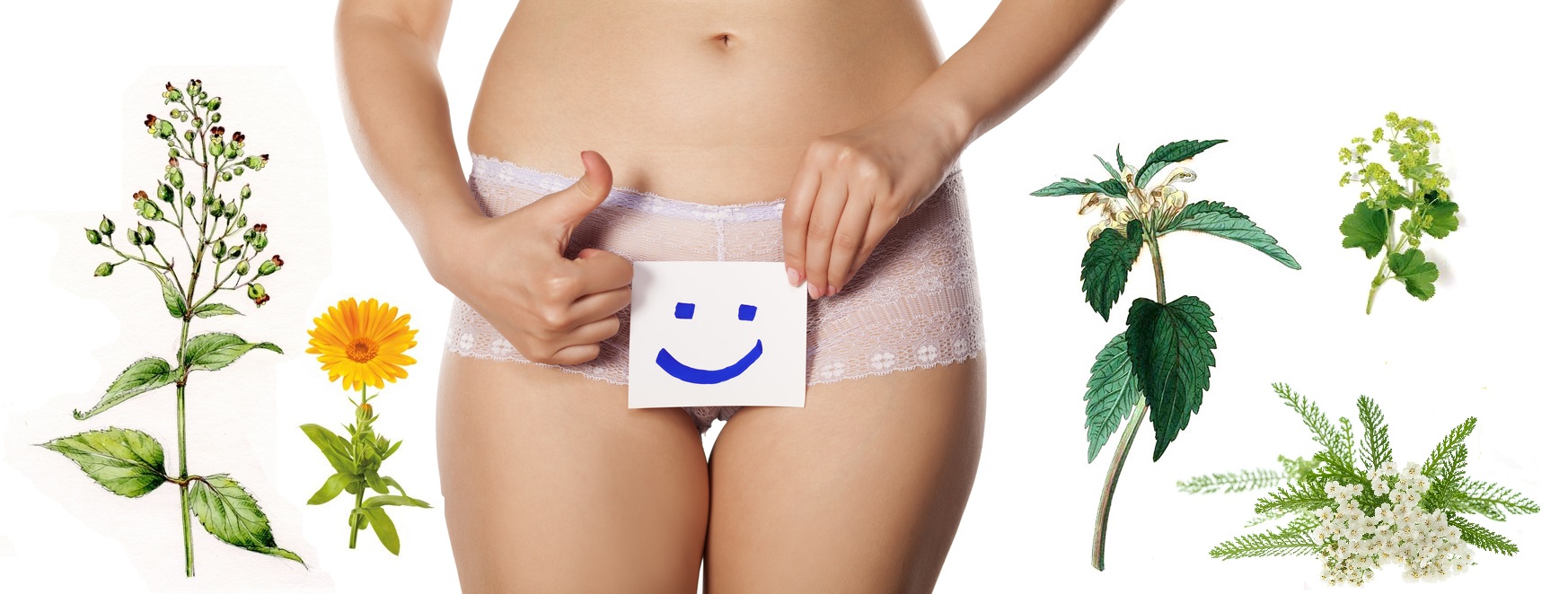 Zánět pochvy, kolpitida - byliny, bylinky, léčba bez léků