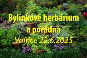 bylinkove herbarium a poradna valtice 22 6 2025 