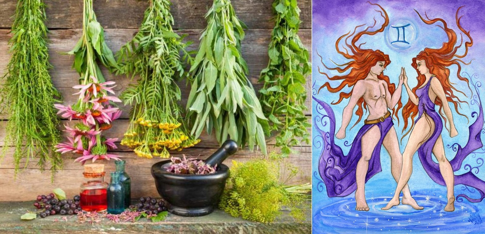 Byliny, bylinky a znamení horoskopu - BLÍŽENCI (22.5. - 21.6.)